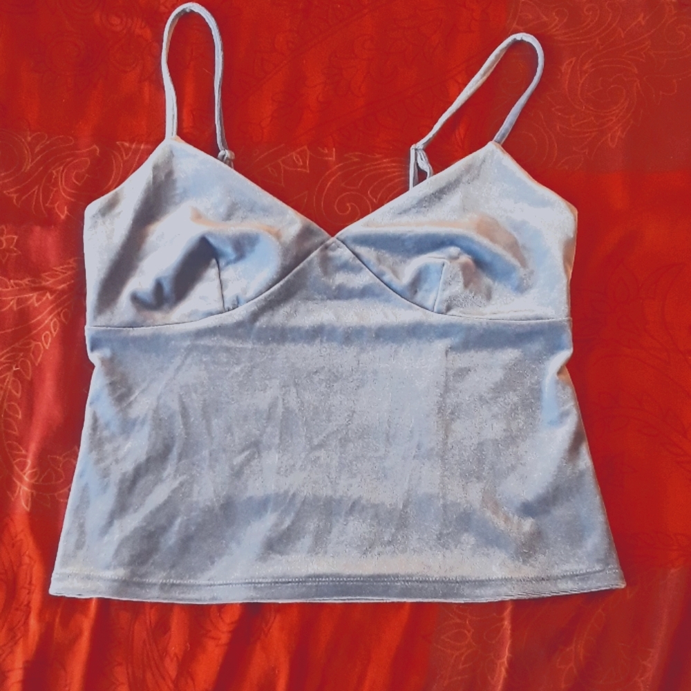 Wild Fable velvet blue cami